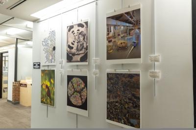 Art in STEM