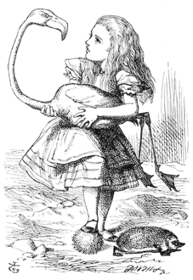 girl holding a flamingo